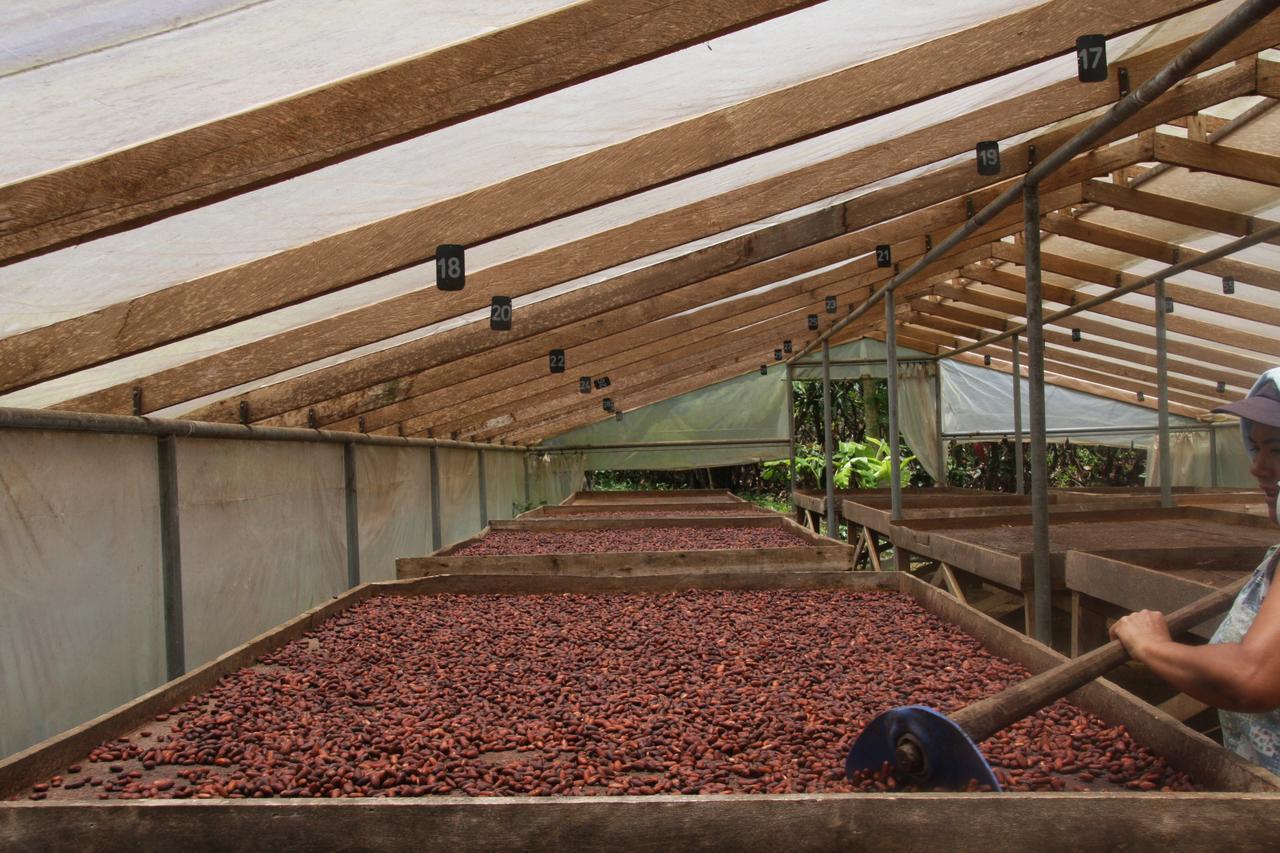 Finca Amistad Cacao Lodge Bijagua Zewnętrze zdjęcie