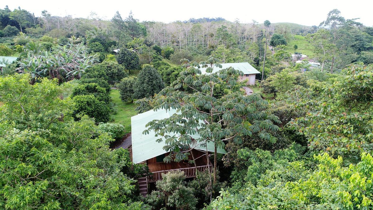 Finca Amistad Cacao Lodge Bijagua Zewnętrze zdjęcie