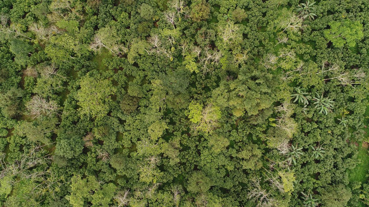 Finca Amistad Cacao Lodge Bijagua Zewnętrze zdjęcie