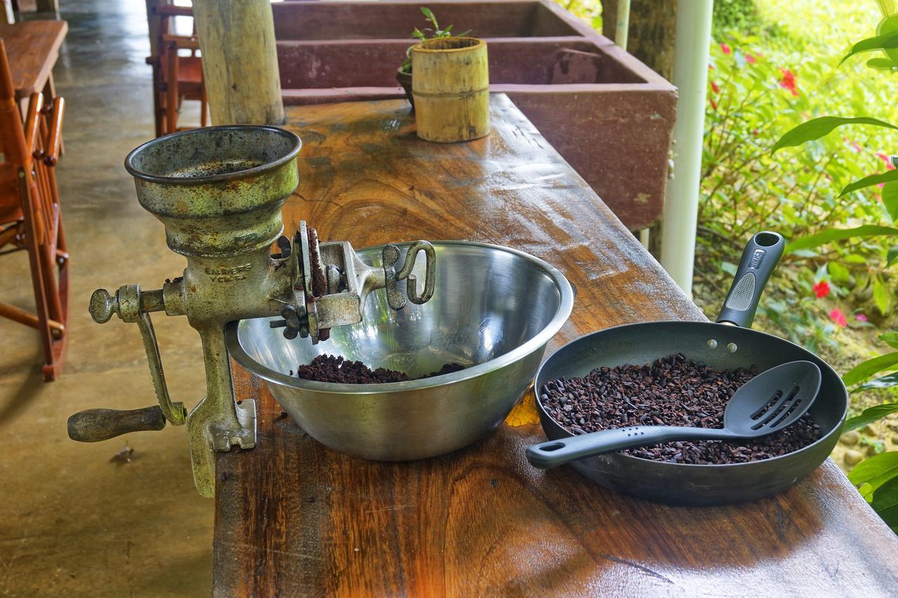 Finca Amistad Cacao Lodge Bijagua Zewnętrze zdjęcie