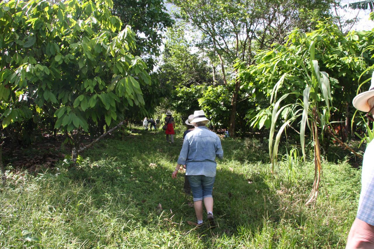 Finca Amistad Cacao Lodge Bijagua Zewnętrze zdjęcie